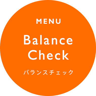 Balance Check バランスチェック